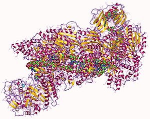 Crispr: Storia, Predecessori del sistema CRISPR-Cas9, Struttura del locus CRISPR