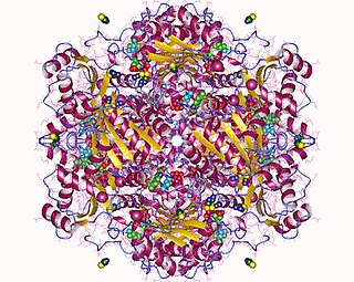 Flavin prenyltransferase (UbiX)