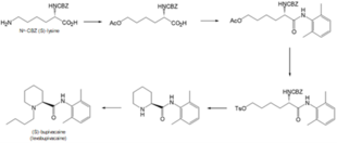 Scheme 1 | Process to synthesise levobupivacaine by Adger et al. 5 step synthesis of levobupivacaine.png