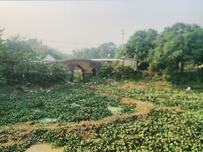 File:A Culvert Near Panam City.jpg