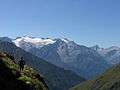 Adamello: main summit and Pisgana glacier seen from the foot-path leading to Lake Ercavallo.