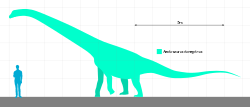 איילוזאורוס בהשוואה