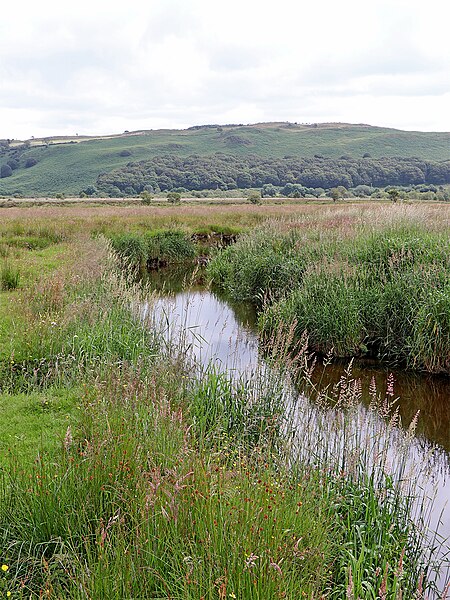 File:Afon Teifi on Cors Caron in Ceredigion - geograph.org.uk - 6226566.jpg