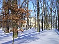 Cottage in inverno