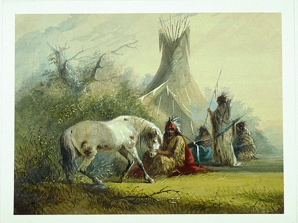 Shoshone Indian and his horse