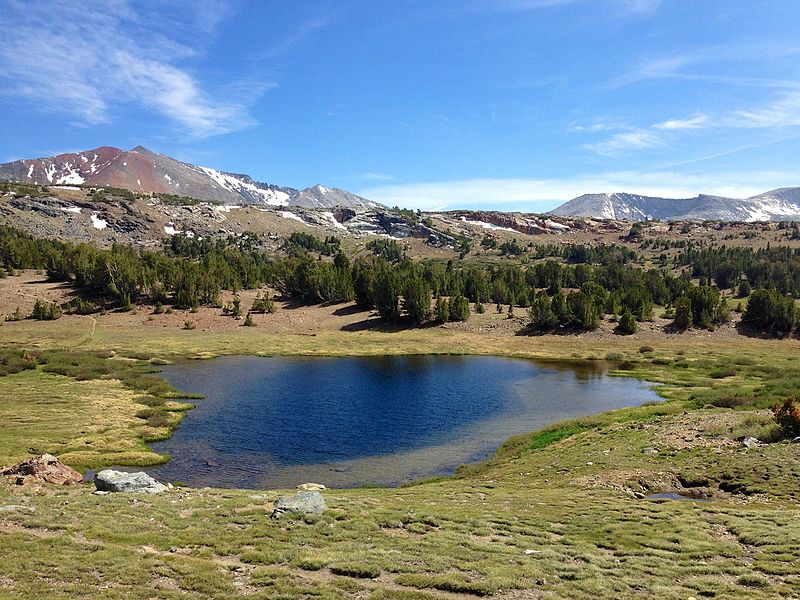 File:Alpine meadow and lake (19374339176).jpg