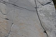 English: Rock art in the world heritage area in Alta, Norway. This is from the area Bergbukten 8a, a group of 30 figures. 23 m above sea level, and 6000-7000 years old. These have not been painted.