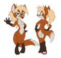 full body, front and back version of the generic anthro vixen