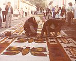 Making a carpet with a butterfly pattern