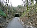 Approach to the eastern portal of the Earlsheaton tunnel - geograph.org.uk - 3292358.jpg