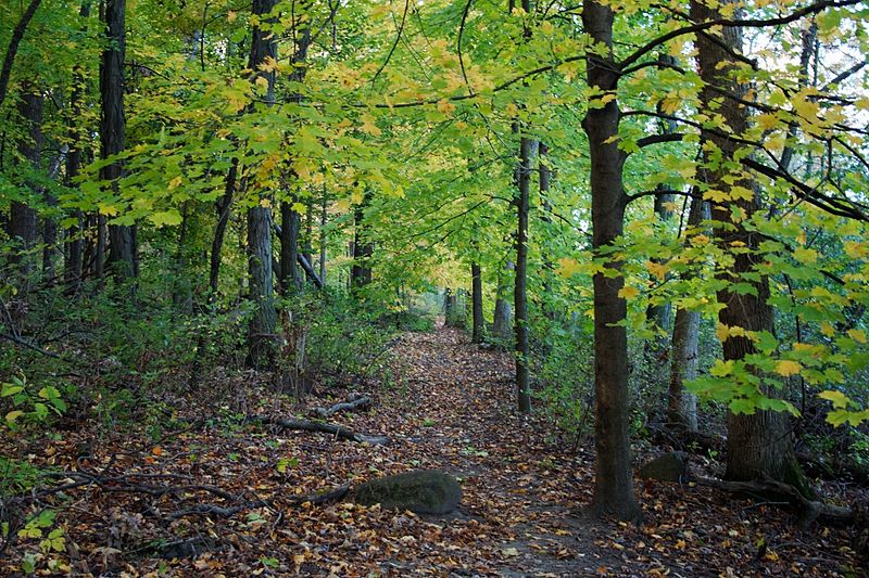 File:Arboretum Madison Wisconsin 0585.jpg