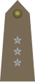Army-POL-OF-01a.svg