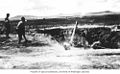 Japanese troops train with a Type 88 75 mm AA Gun on Attu in 1943.