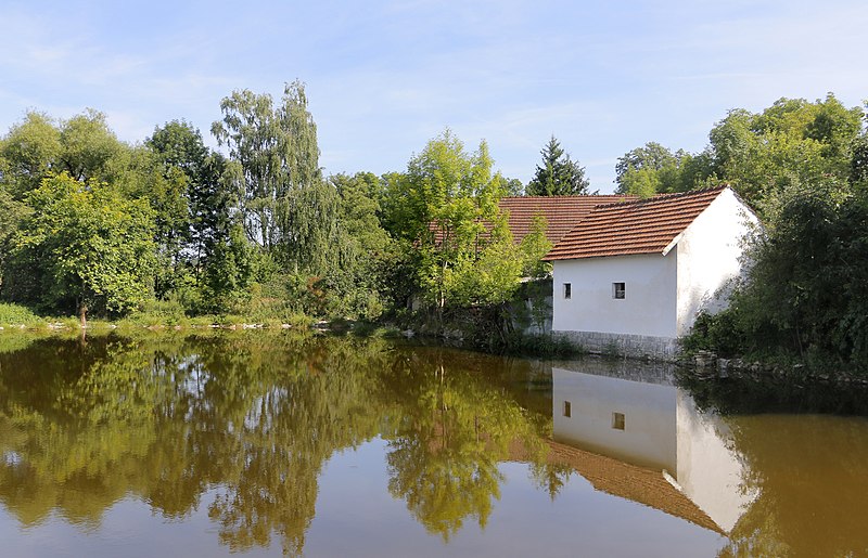 File:Bělčice, Hostišovice, common pond.jpg