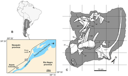 Location and quarry map of the only known specimen Bajadasaurus maps.png