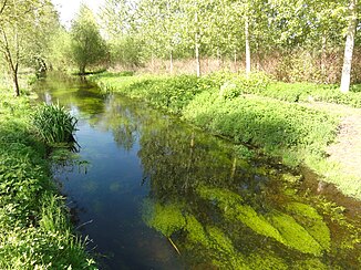 The river in Barenton-Bugny