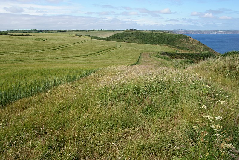 File:Barley fields above Parn Voose Cove - geograph.org.uk - 4143824.jpg