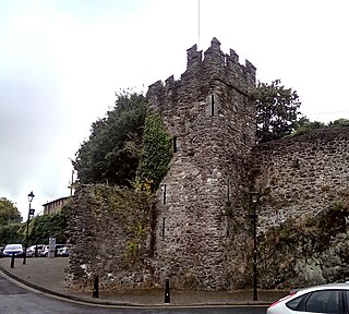 <span class="mw-page-title-main">Beach Tower, Waterford</span> Fortified tower in Waterford, Ireland