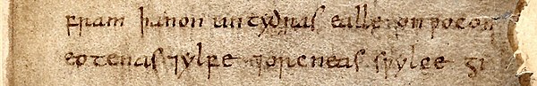 Beowulf's eotenas [ond] ylfe [ond] orcneas, "ogres [and] elves [and] devil-corpses" helped to inspire Tolkien to create the Orcs and Elves of Middle-e