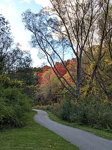 Betty Sutherland Trail Park is a municipal park in the neighbourhood.