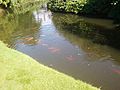 Biddulph Grange: lake