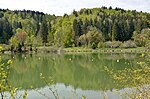 Thumbnail for File:Biotop Kohlstattbrunnenweiher, Stausee Oberdigisheim (2019).jpg