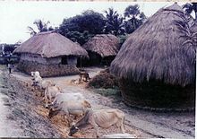 File:Birbhum_Village.jpg