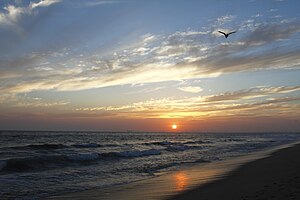 Sunset at Bolsa Chica State Beach BolsaChicaJUL2009.JPG