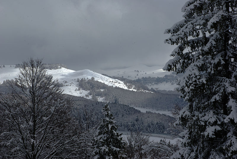 File:Bosco Chiesanuova (Grietz Dossetti Tinazzo) Lessinia VR Italy 2013-04-01 photo CTG ACA LESSINIA Paolo Villa 0055sp 02.jpg