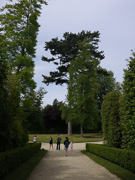 File:Bosquet de la Reine - Versailles - P1180073.jpg