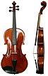 Họ Vĩ Cầm: Đặc điểm, Sử dụng, Octobass