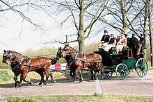 Et team på fire hester (brun med svart manke og hale) hester som traver langs en brosteinssti med trær og felt i bakgrunnen.  De drar en grønn vogn der flere kjører.