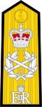 British Royal Navy OF-10.svg