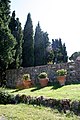 Brunello di Montalcino, Italy (5874292827).jpg