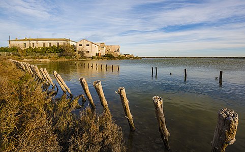 Salins de Frontignan, Hérault, France