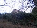 BurgruineHerberstein10.jpg