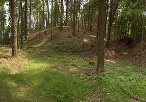 Burgstall Häferloch - View of the castle hill from the north-west