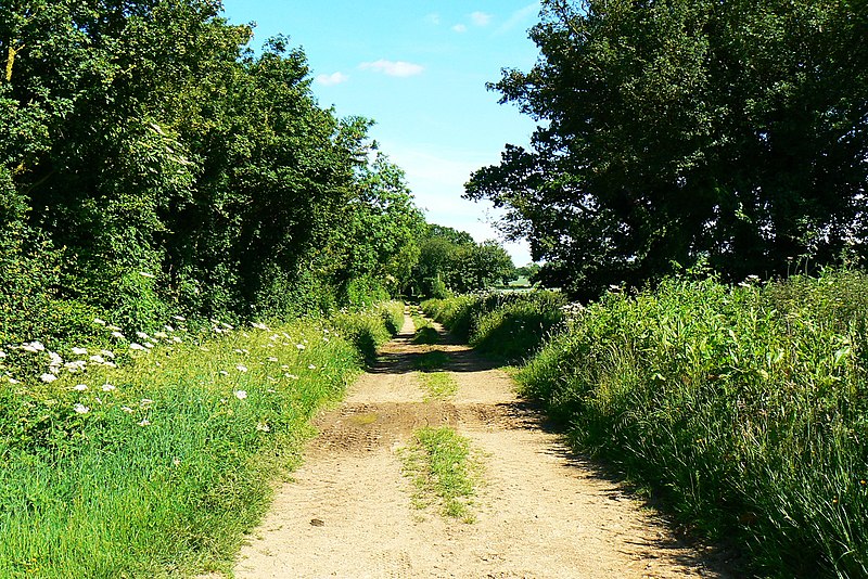 File:Byway near Manor Farm, Driffield - geograph.org.uk - 1919574.jpg