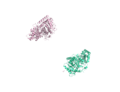 Thumbnail for Carnitine O-octanoyltransferase