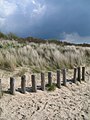 Duinen in Cadzand