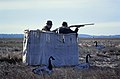 Camouflaged hunters on a wild goose wait for birds.jpg
