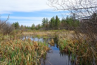 Carp Hills extension of the Canadian Shield, in Ottawa, Canada