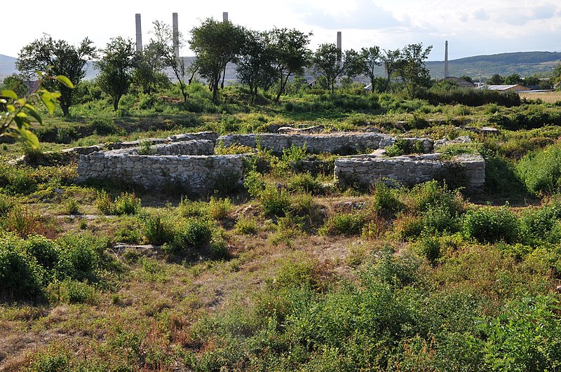 File:Castra Buridava 00.JPG