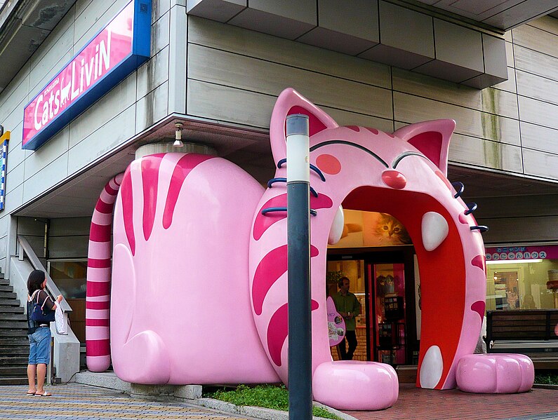 File:Cats Livin' - A shop for cats only.jpg