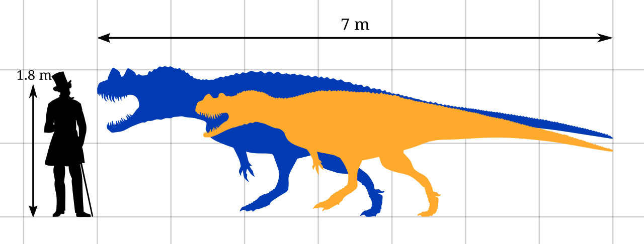 Download File:Ceratosaurus Size Comparison by PaleoGeek.svg ...