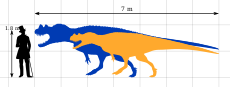 Ceratosaurus Size Comparison by PaleoGeek.svg