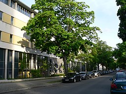 Charlottenburg Kuno-Fischer-Straße Schule