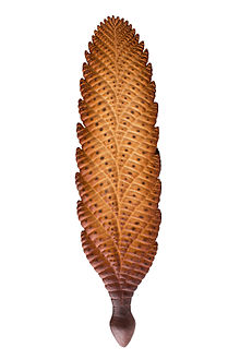 Reconstruction of Charnia masoni at Museo delle Scienze in Trento. Charnia masoni - MUSE.jpg