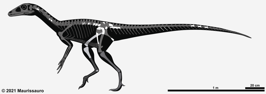 Chindesaurus skeleton