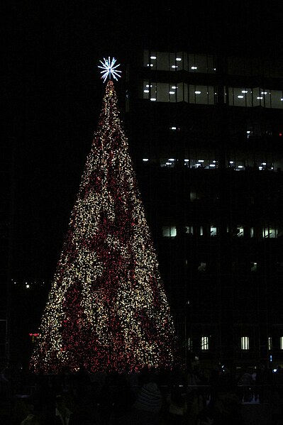 File:Christmas tree at PPG Place, 2023-12-21, 03.jpg